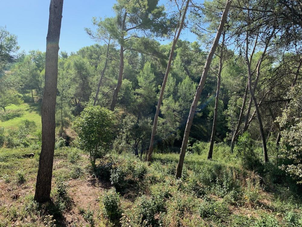 Saint Clément-de-Rivière : villa récente disponible de suite. Bail de 1 an