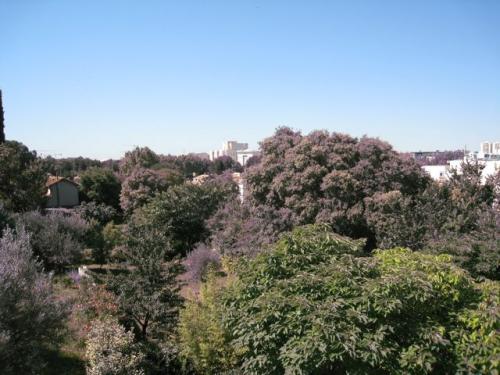 Montpellier Pompignane : villa � r�nover