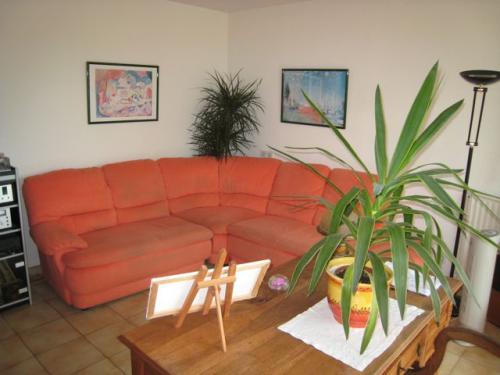 PIGNAN, � 8 km Ouest de Monbtpellier, belle villa � louer en saisonnier