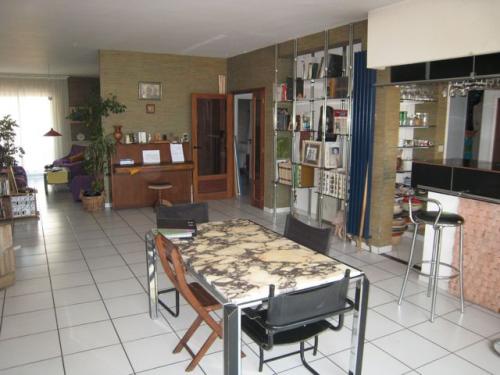 Castelnau-le-Lez : grand appartement, centre village