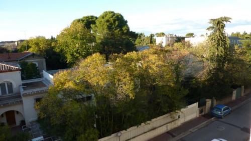 MONTPELLIER CHAMBERTE, T3 RENOVE  IMPECCABLE LIBRE 