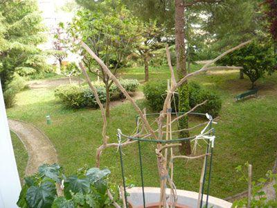 Montpellier pr�s parc EAI et Av. de Toulouse : 4 pi�ces, �tat neuf